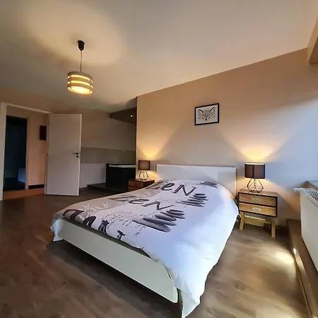 Moderne Et Lumineux, Proche De Saint-dié-des-vosges - 5 Pers., Wifi, Parking, Terrasse - Fr-1-589-434 Appartement *