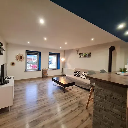 Moderne Et Lumineux, Proche De Saint-dié-des-vosges - 5 Pers., Wifi, Parking, Terrasse - Fr-1-589-434 Appartement Frapelle